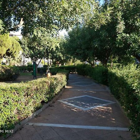Beautiful House In Alimos Near To The Beach And Metro Atena Exterior foto